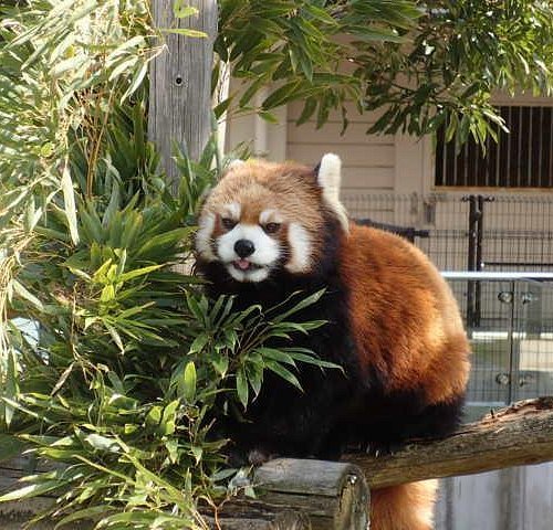 🦁 키류가오카 동물원 이미지 5